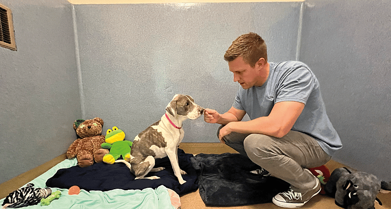 The Dog Who Changed Me: Valerie